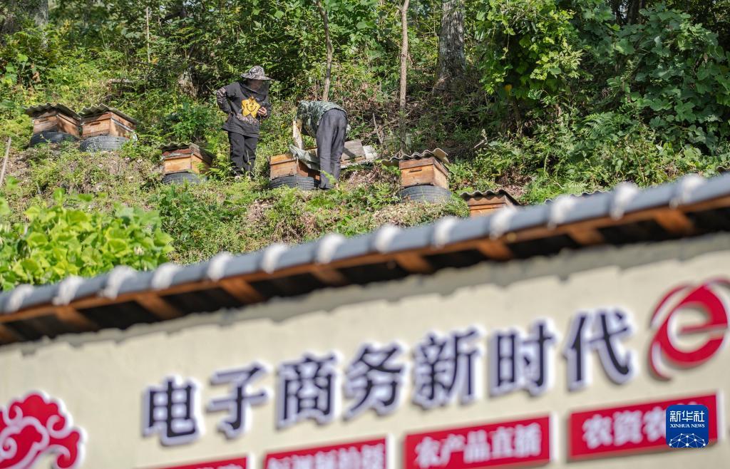 新澳门金沙官方网址