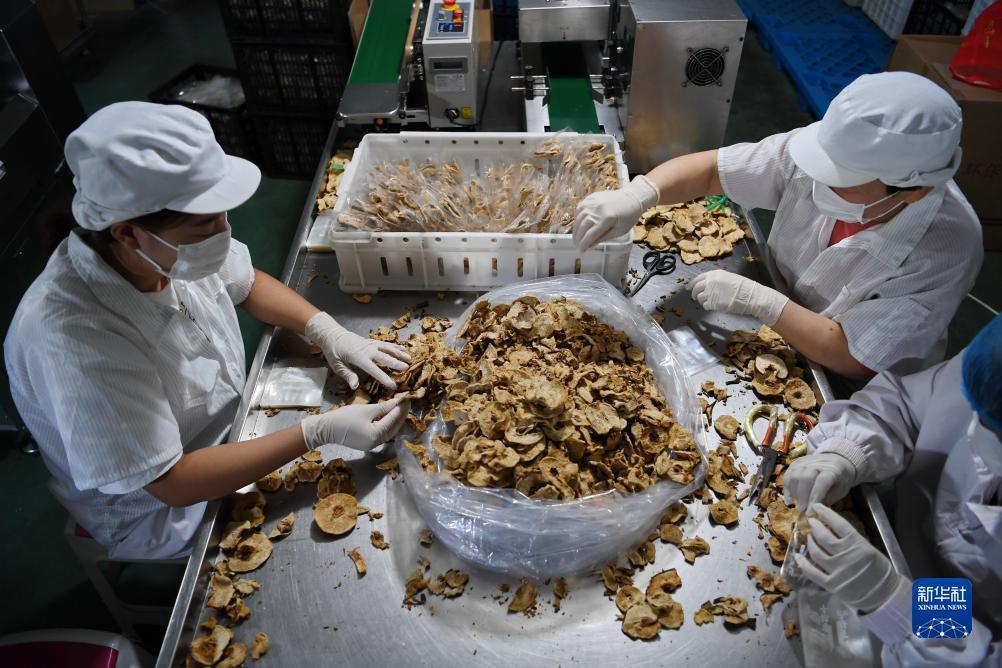 威尼斯娱乐下载